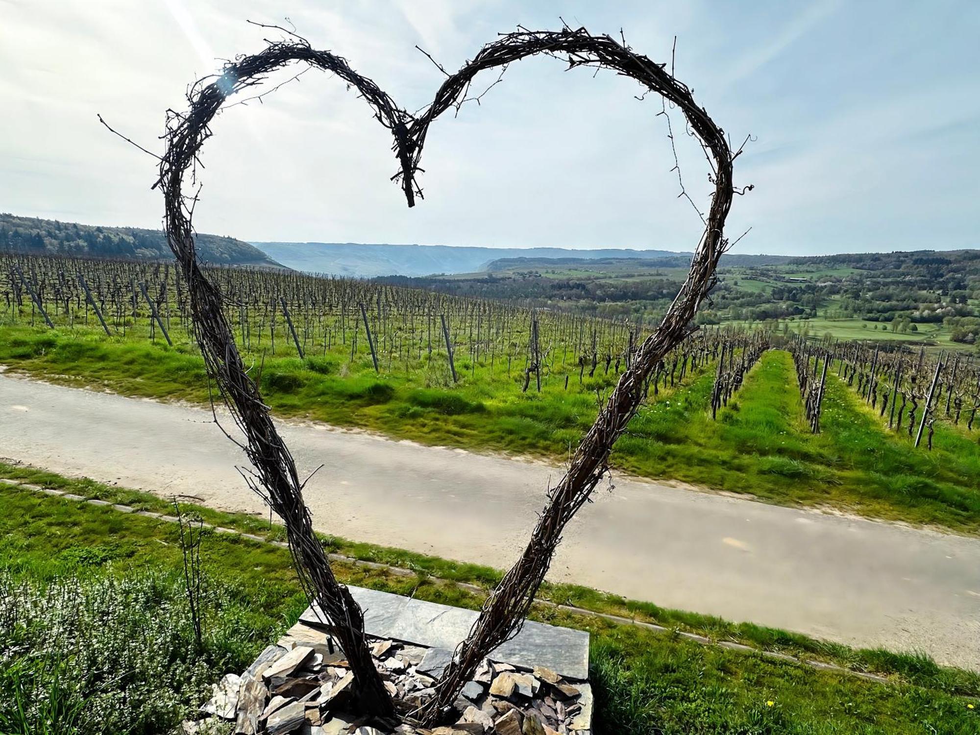 Ferienwohnung Moselherz - Urlaub Im Wein- Und Ferienort Bekond Luaran gambar